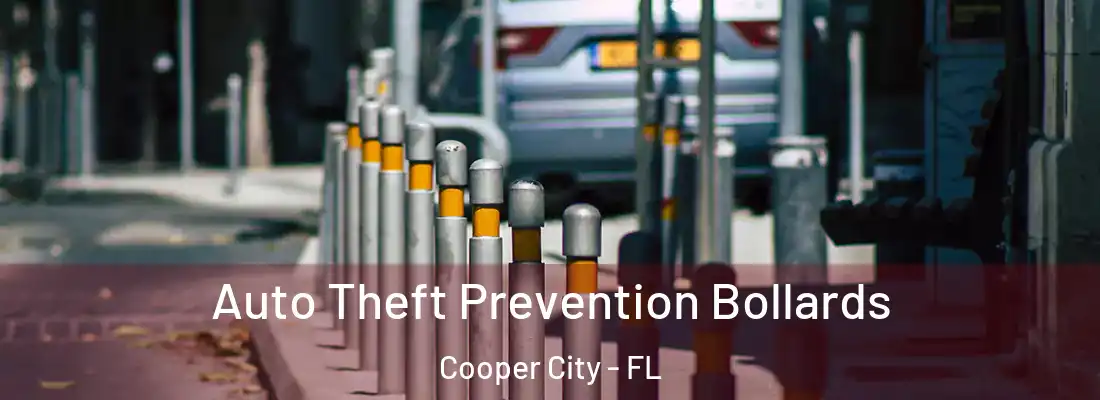  Auto Theft Prevention Bollards Cooper City - FL