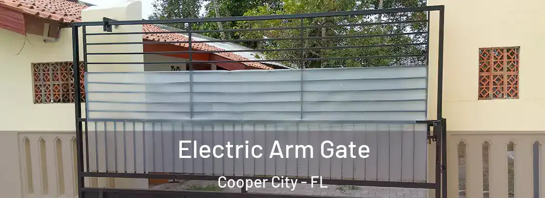  Electric Arm Gate Cooper City - FL