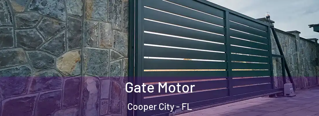  Gate Motor Cooper City - FL