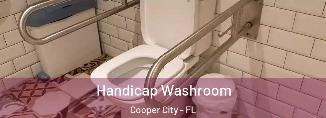  Handicap Washroom Cooper City - FL