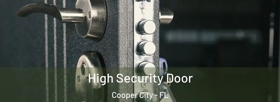  High Security Door Cooper City - FL