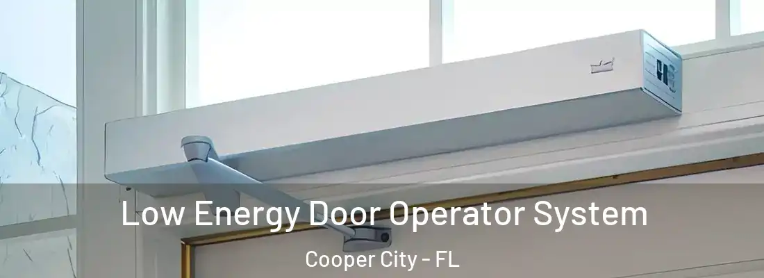  Low Energy Door Operator System Cooper City - FL